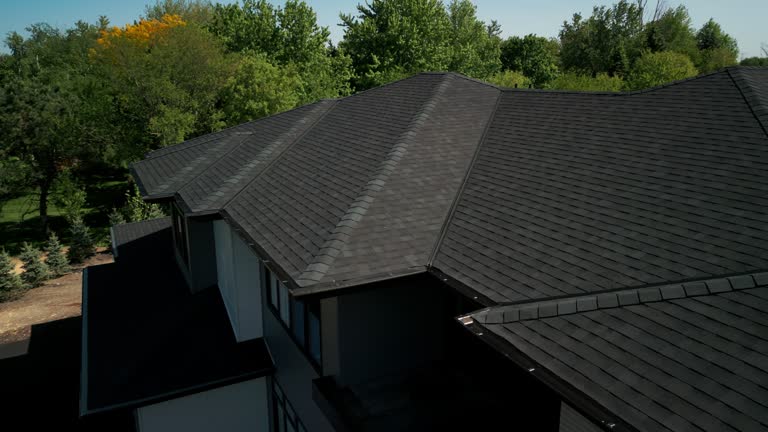 Best Skylight Installation and Repair  in Old Stine, CA